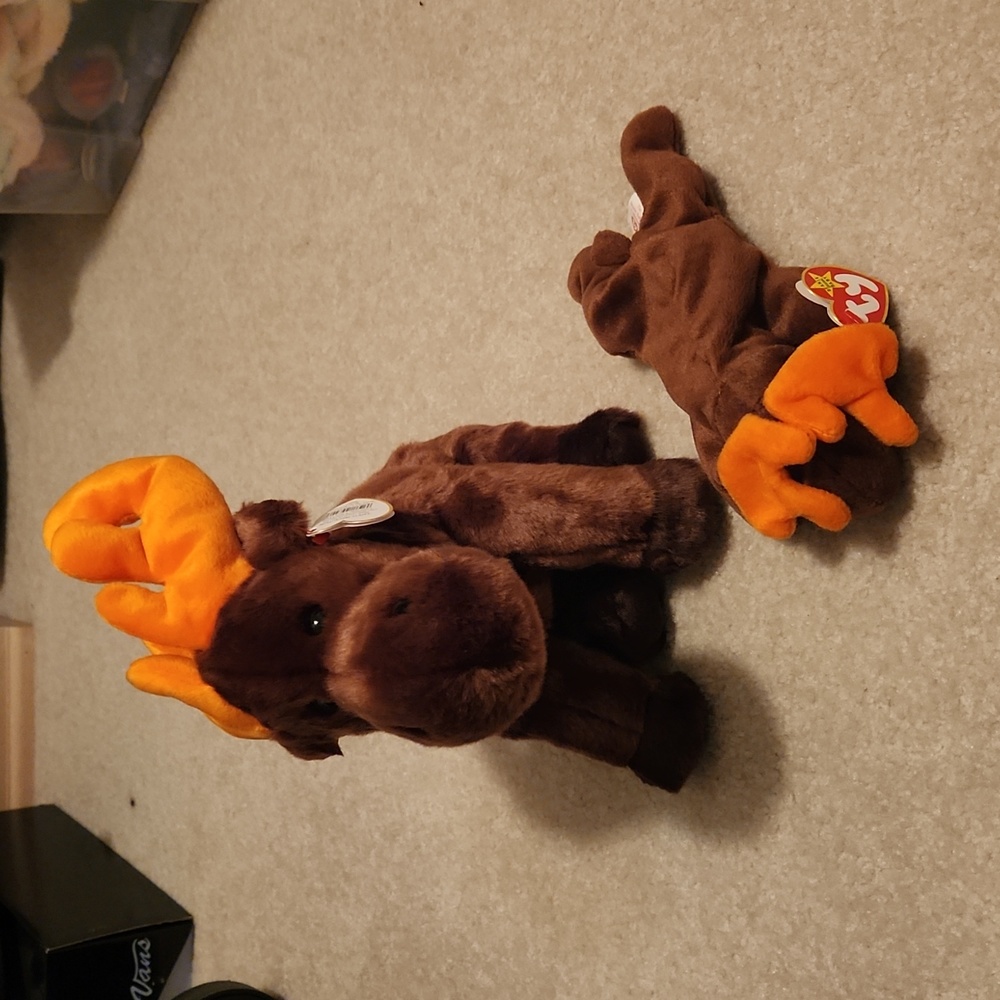 Chocolate the moose beanie baby and buddy bundle